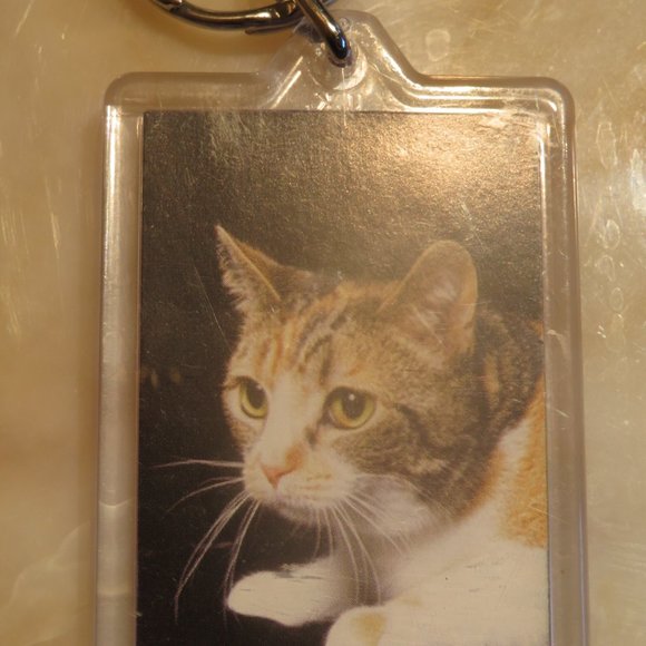 Calico Cat Keyring Plastic Case (F41) - Picture 1 of 1